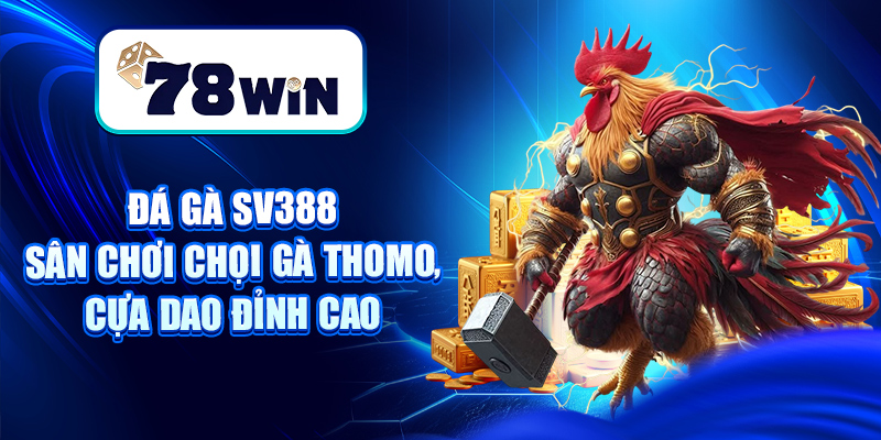 Đá Gà SV388 – Sân Chơi Chọi Gà Thomo, Cựa Dao Đỉnh Cao 5 Đá Gà SV388 – Sân Chơi Chọi Gà Thomo, Cựa Dao Đỉnh Cao