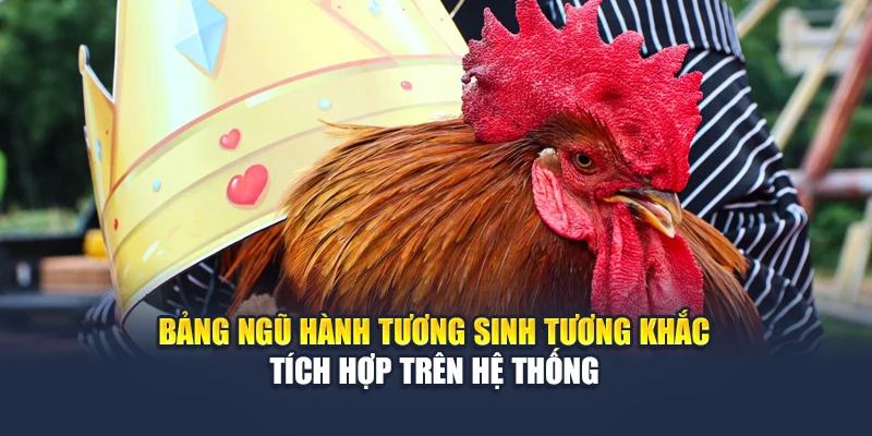 Bí Quyết Chọn Gà Theo Ngày Chuẩn Phong Thủy Tại 78WIN 6 Bảng ngũ hành tương sinh tương khắc tích hợp trên hệ thống