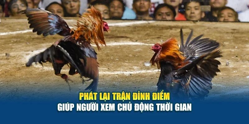 Phát lại trận đỉnh điểm giúp người xem chủ động thời gian